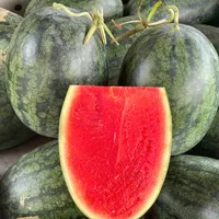 original sound - ngocngoc05067