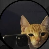 mubeenumar09