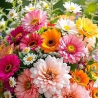 rose.fernandez43