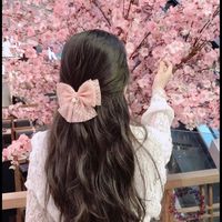 pinky_accecories