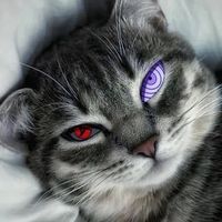 darklynx30