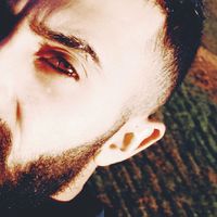 kral_r1