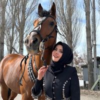 harzemah3