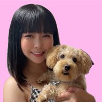 オリジナル楽曲 - アミーナ🐶🍺
