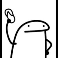 nou.208