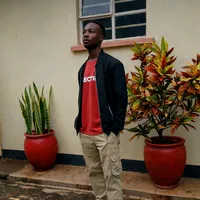 original sound - topfanofdriemo