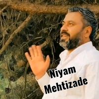 niyam_mehtizade