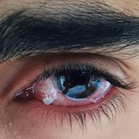 sarkarfaisal4