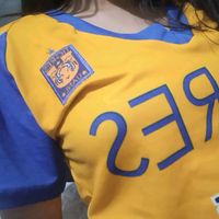kimos_885