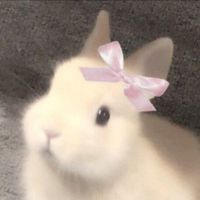 cyinru