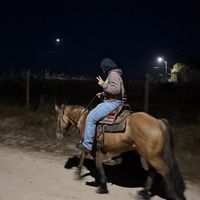 allison_888_