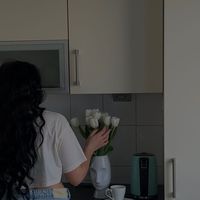 z_95l