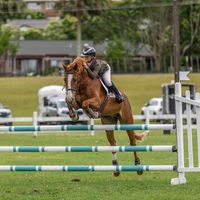 amber_equestrian.0