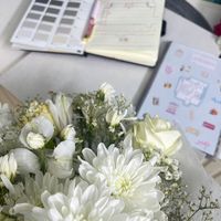 noran_627