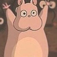 user8497061941494