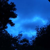 everblushiny