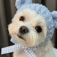 ohana значит семья
