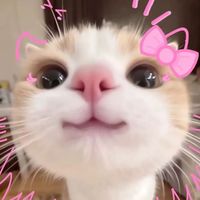 original sound - OneFromYT 🇰🇭