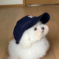 a._.amxq