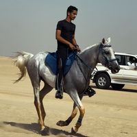 الصوت الأصلي