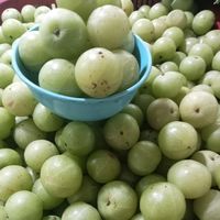 เสียงต้นฉบับ - อาหมี่ เหม่อแล