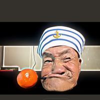 lao2004som