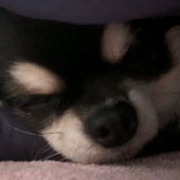 オリジナル楽曲 - あいのえ