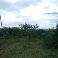 original sound - 1.kioko016