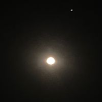 leo_z750