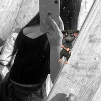 userxx_10
