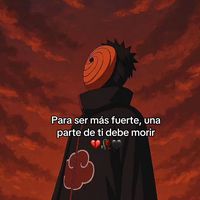 .meliss_vlz