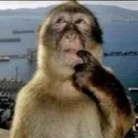 original sound - bilalorangbiasa