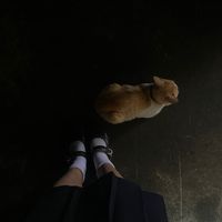 เสียงต้นฉบับ - ไม่รู้อะคิดบ่ออก