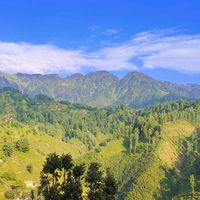 beautyofdirnihagdara
