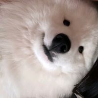 llayylittledevill