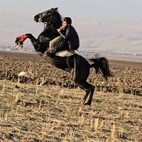 sarkan.said.majid
