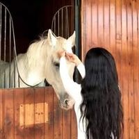 .elhouda