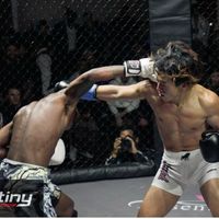taiyooon