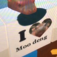 racharobloxjing