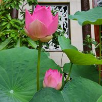 nhạc nền - Nhìn lại Mình