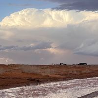 الصوت الأصلي