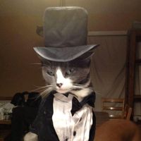 оригинальный звук