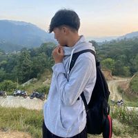single3815