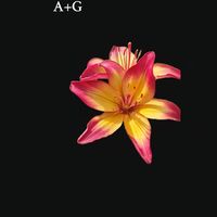 ghadei4