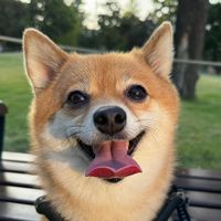 azuki_0423