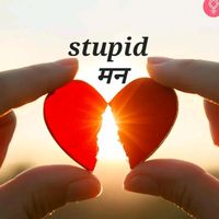 stupid.man73