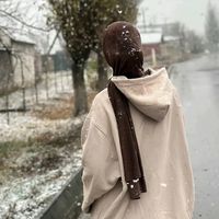 _z.c_313