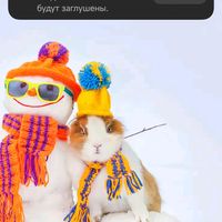 чудики