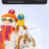 original sound - sciesciescie