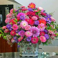 kyr_3846